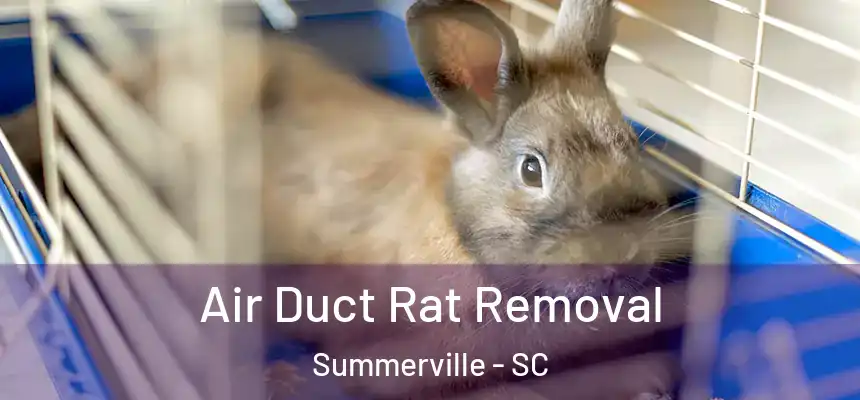  Air Duct Rat Removal Summerville - SC