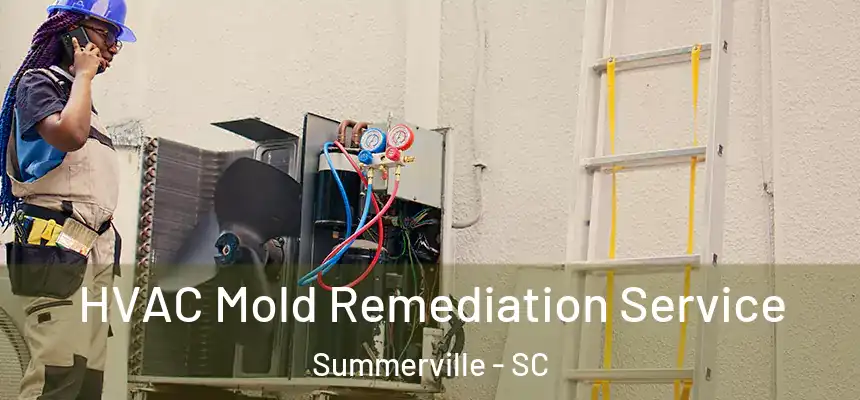  HVAC Mold Remediation Service Summerville - SC
