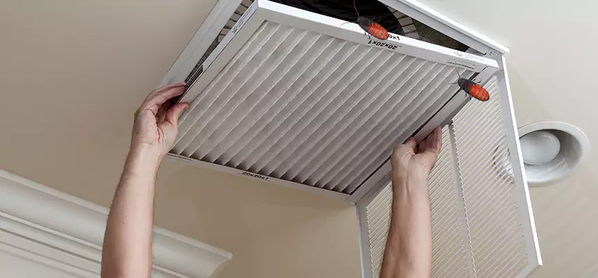 Preventive Cockroach-Proofing for Ducts in Summerville