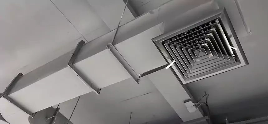 Restorative Allergy Relief Vent Cleaning – Coil, Blower & Housing Detail in Summerville