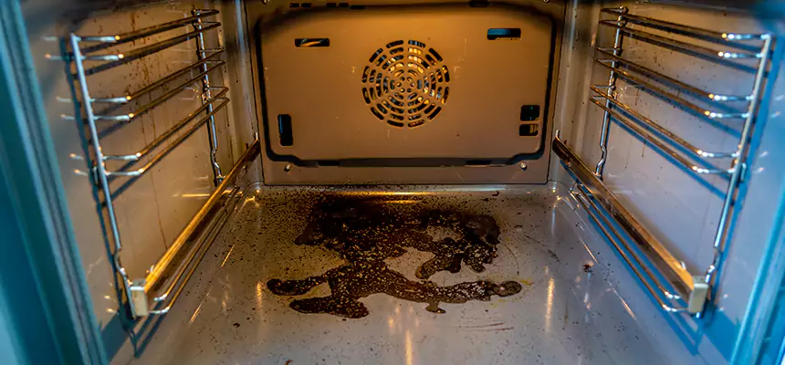 Our Dryer Vent Mold Cleaning Services in Summerville, SC