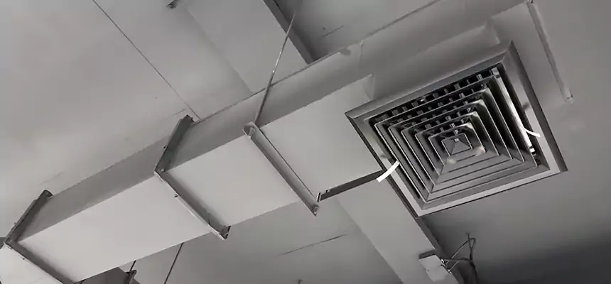 Our Rodent Droppings In Vents Services in Summerville, SC