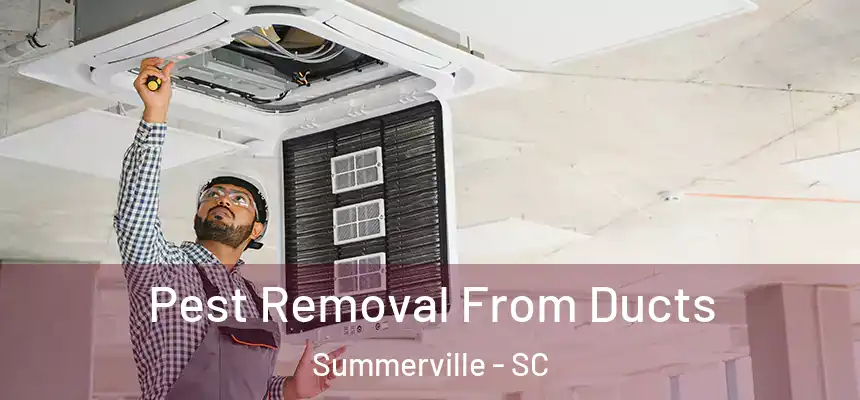  Pest Removal From Ducts Summerville - SC