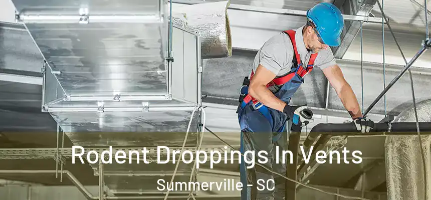 Rodent Droppings In Vents Summerville - SC