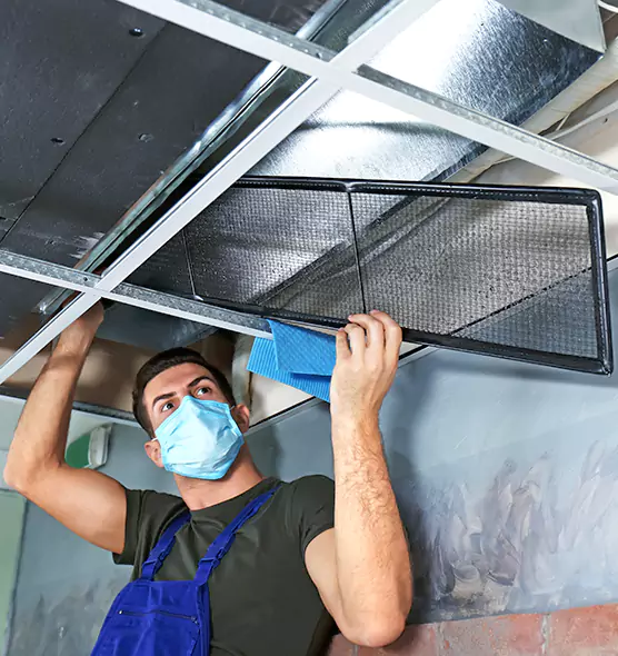 About Air Duct Bacteria Removal in Summerville