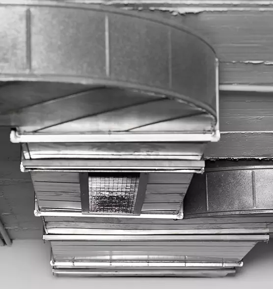 Professional Air Duct Pet Hair Removal in Summerville, SC