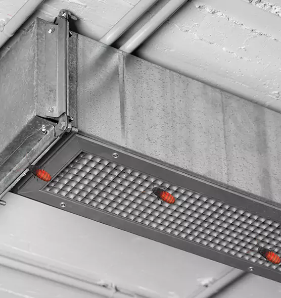 Affordable Insect Removal from Air Ducts in Summerville, SC