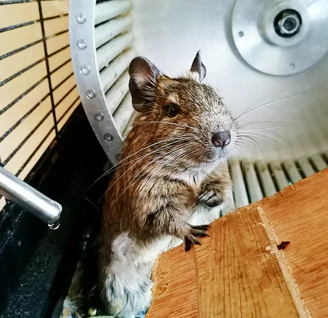 Why Homeowners & Businesses Trust Us Summerville, SC