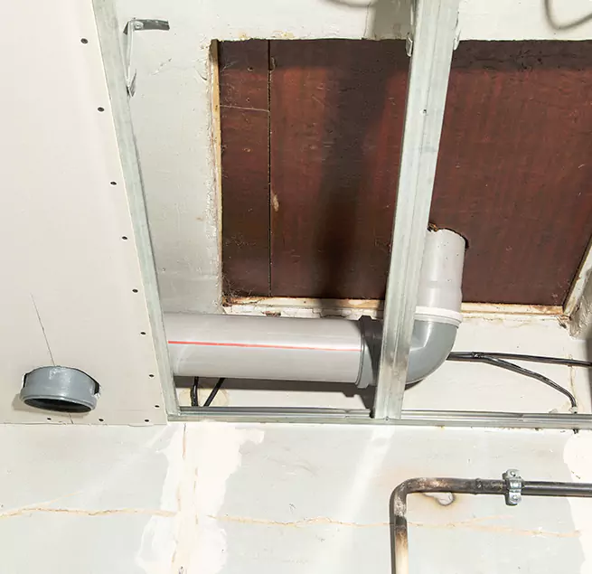 Why Homeowners & Businesses Trust Us in Summerville, SC?