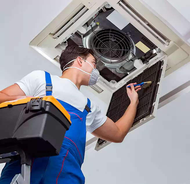 Why Homeowners & Businesses Trust Us in Summerville, SC