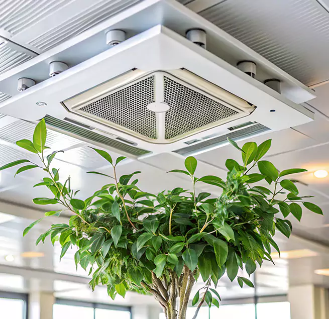 Why Homeowners & Businesses Trust Us in Summerville, SC