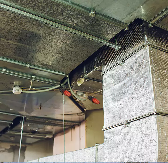 Why Homeowners & Businesses Trust Us Summerville, SC?