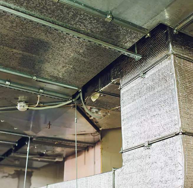 Why Homeowners & Businesses Trust Us in Summerville, SC?