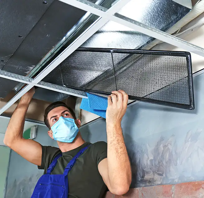 Why Homeowners & Businesses Trust Us in Summerville, SC?