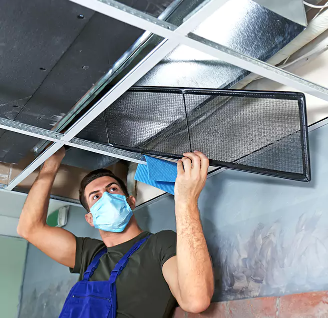 Why Homeowners Businesses Trust Us in Summerville, SC?